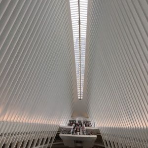 Meet your Posher, Carol